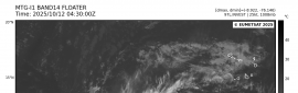 97L Medium