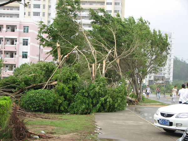 2008092519505532.jpg