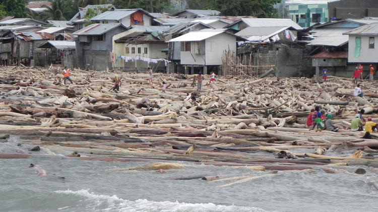 philippines-typhoon-washi-logs-washed-up-near-port_3column00_nospace_landscape.jpg