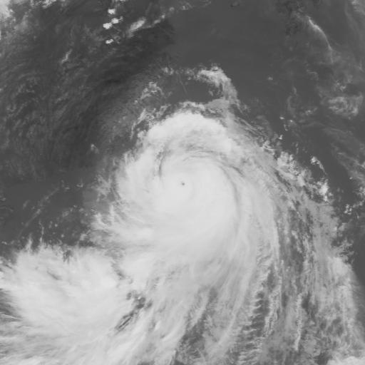 1994提姆颱風.jpg