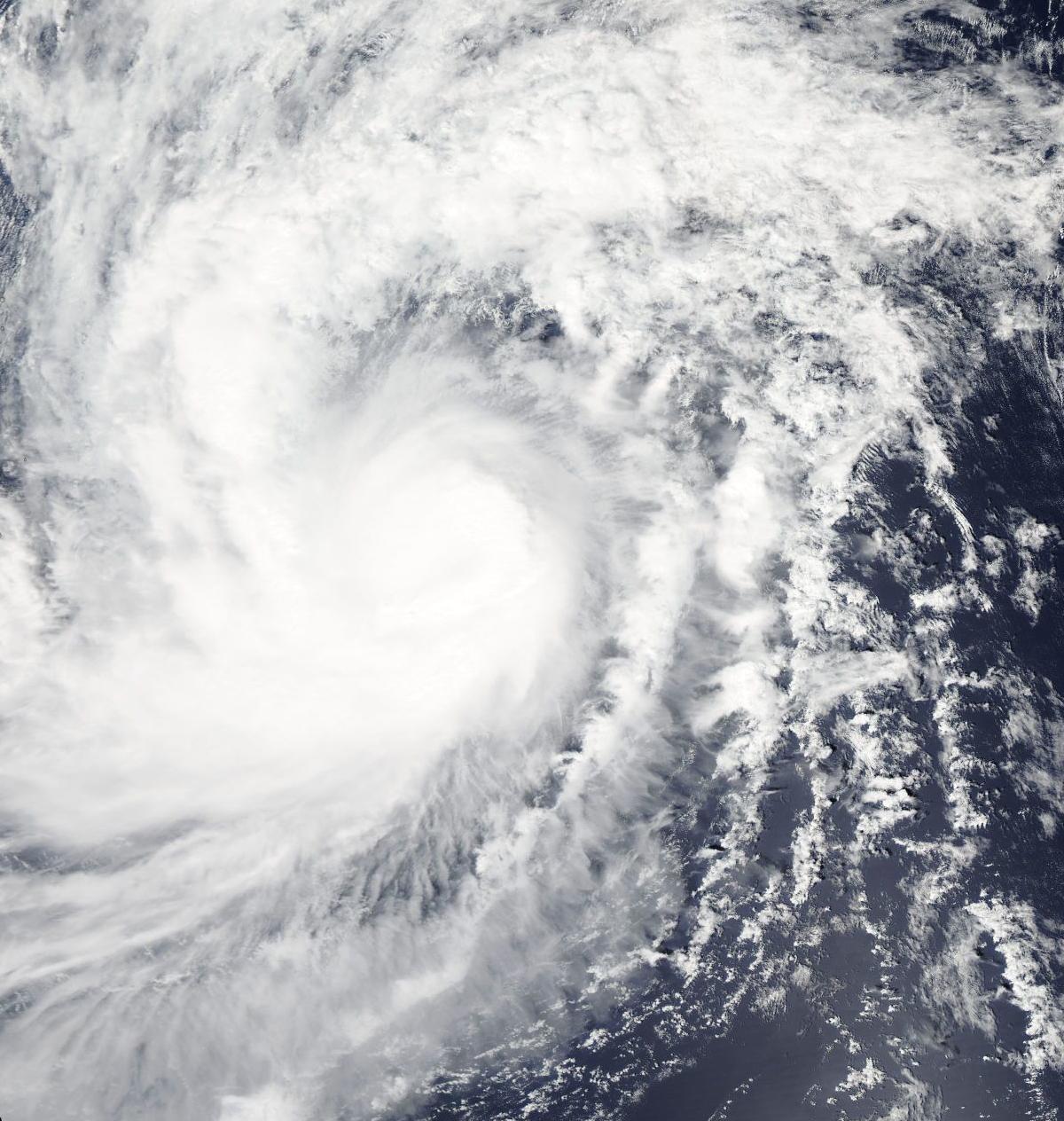 index.jpg
