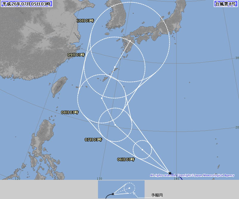 浣熊.png