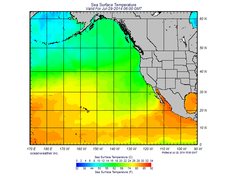 SST.GIF