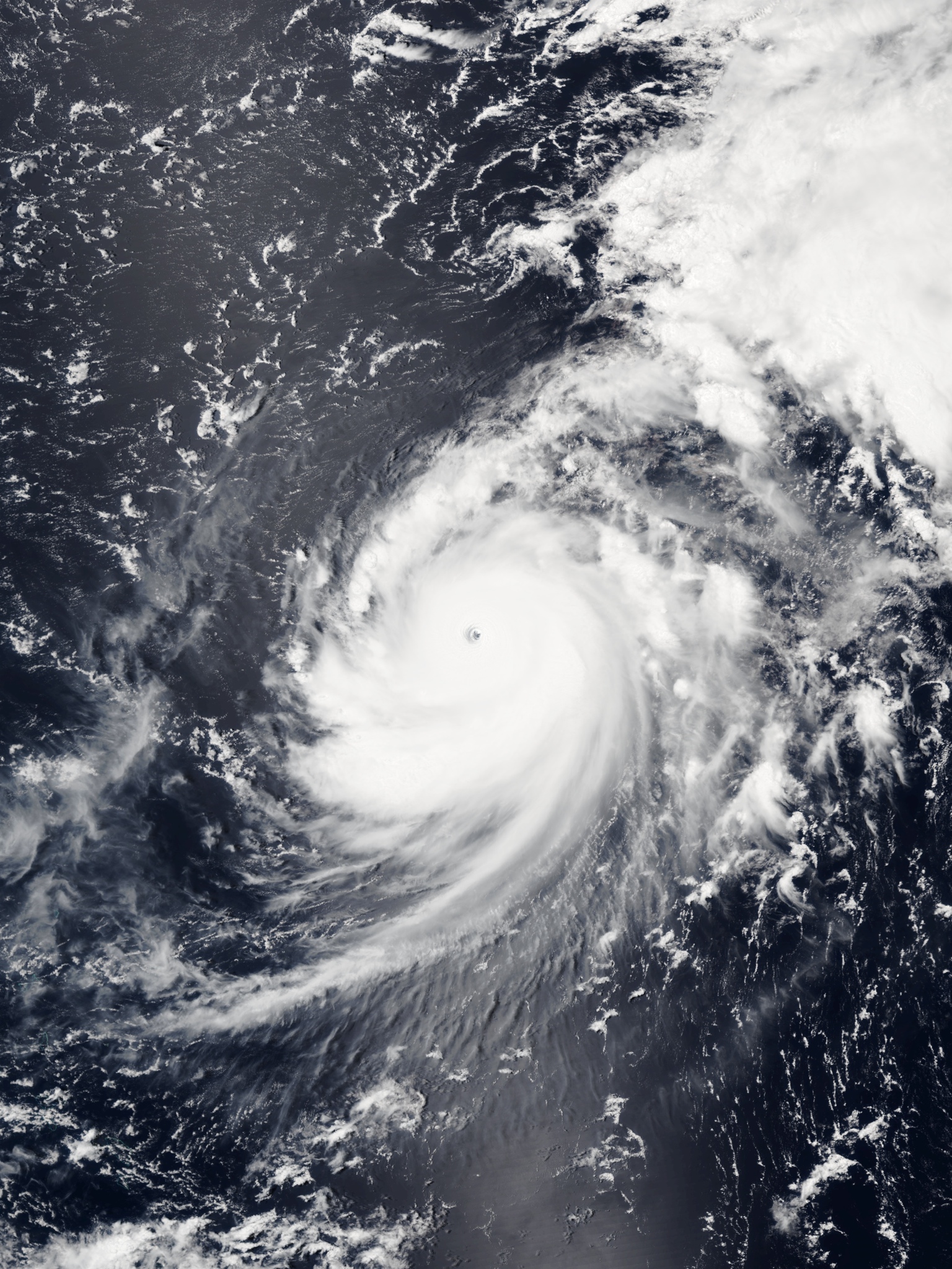 Genevieve 2014-08-08 VIIRS.jpg