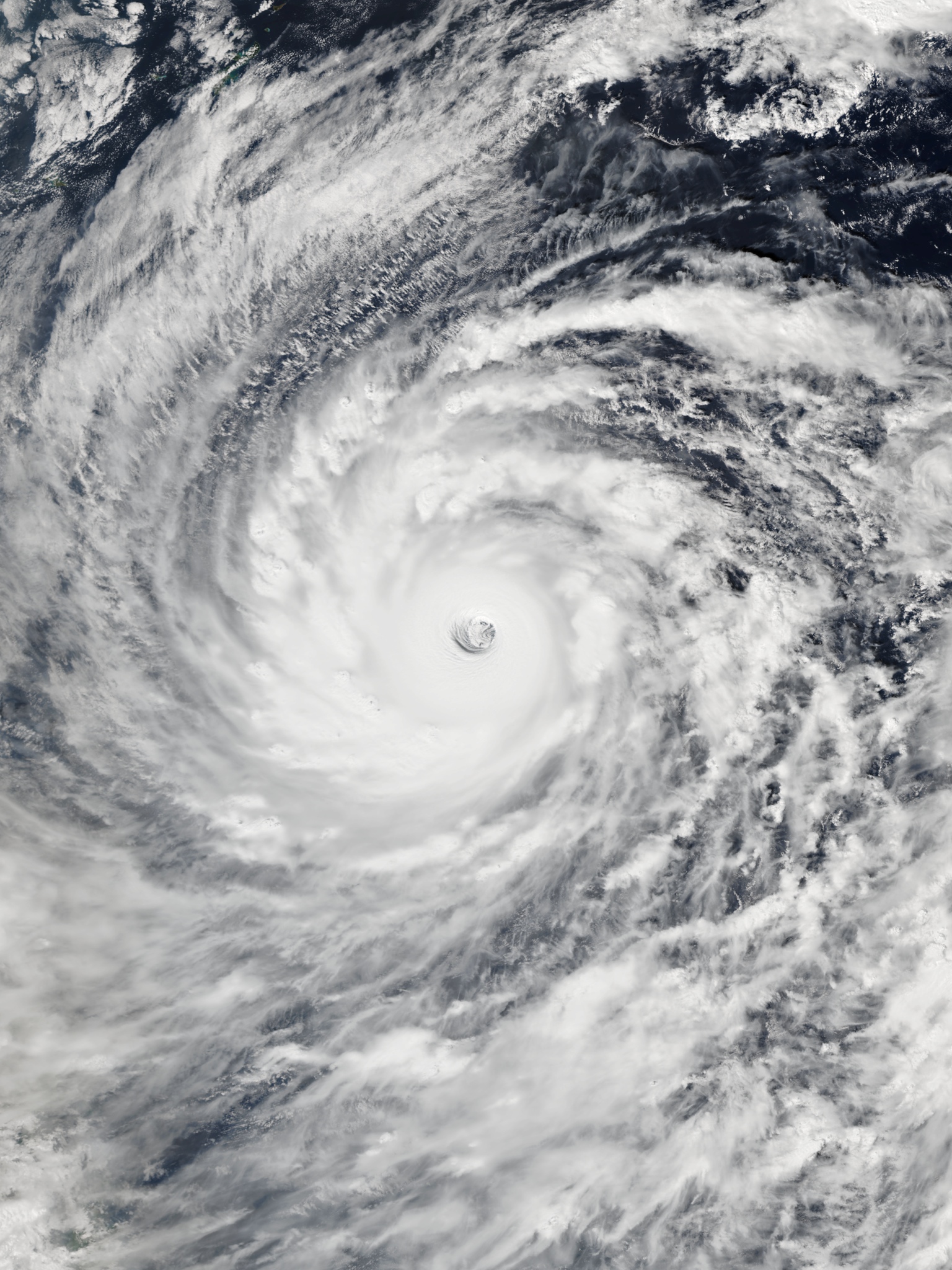 Vongfong 2014-10-08 0410Z.jpg