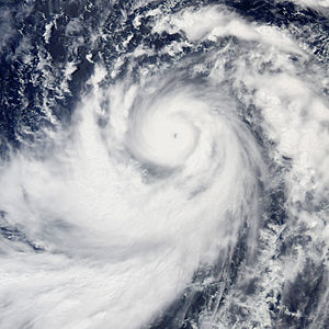 Typhoon_dianmu_2004.jpg