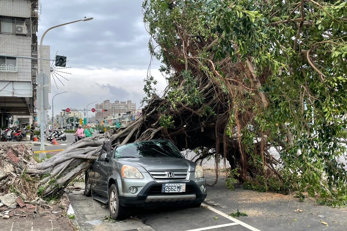 car-crushed-falllen-tree-kaohsiung.jpg