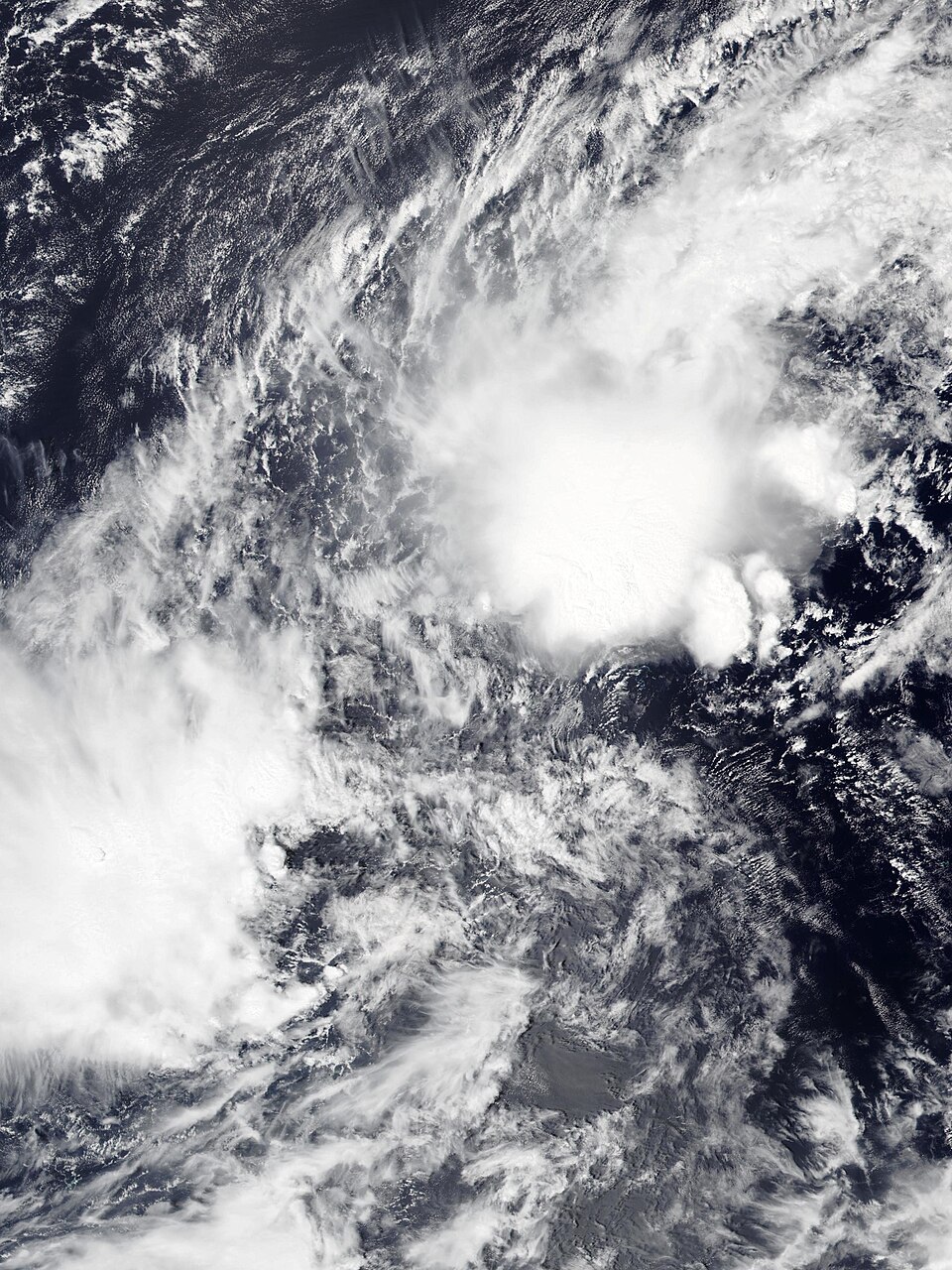 Nuri_2026-03-11_0404Z (1).jpg