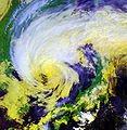 117px-Typhoon_Maemi_on_Sea_of_Japan_20030913.jpg